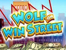 wolf on win street
