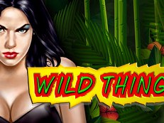 Wild Thing gokkast errel