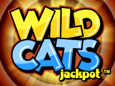 Wild Cats gokkast