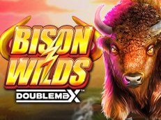 Bison Wilds gokkast reflex gaming